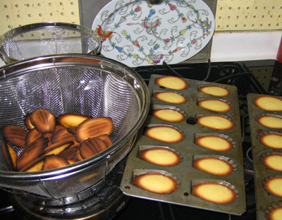 madeleines.jpg